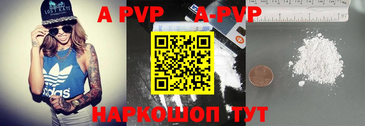 A-PVP СК Волгодонск