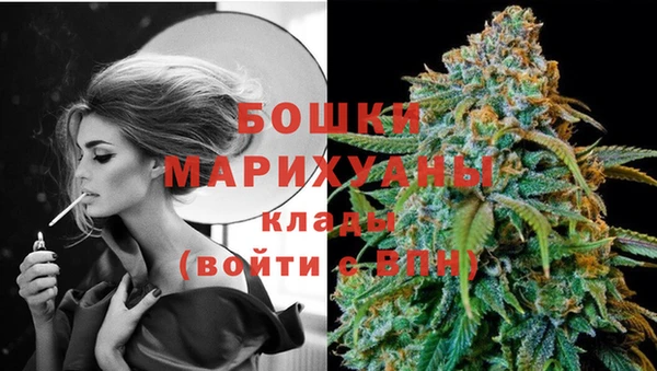 Альфа ПВП Инсар