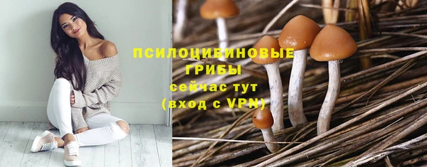 Альфа ПВП Инсар