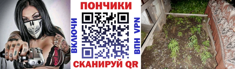 Бошки Шишки OG Kush  Волгодонск 